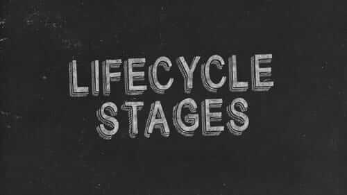 Lifecycle Stages Black Image