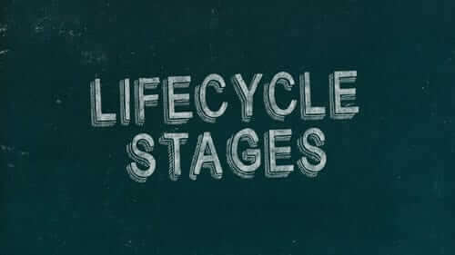 Lifecycle Stages Green Image