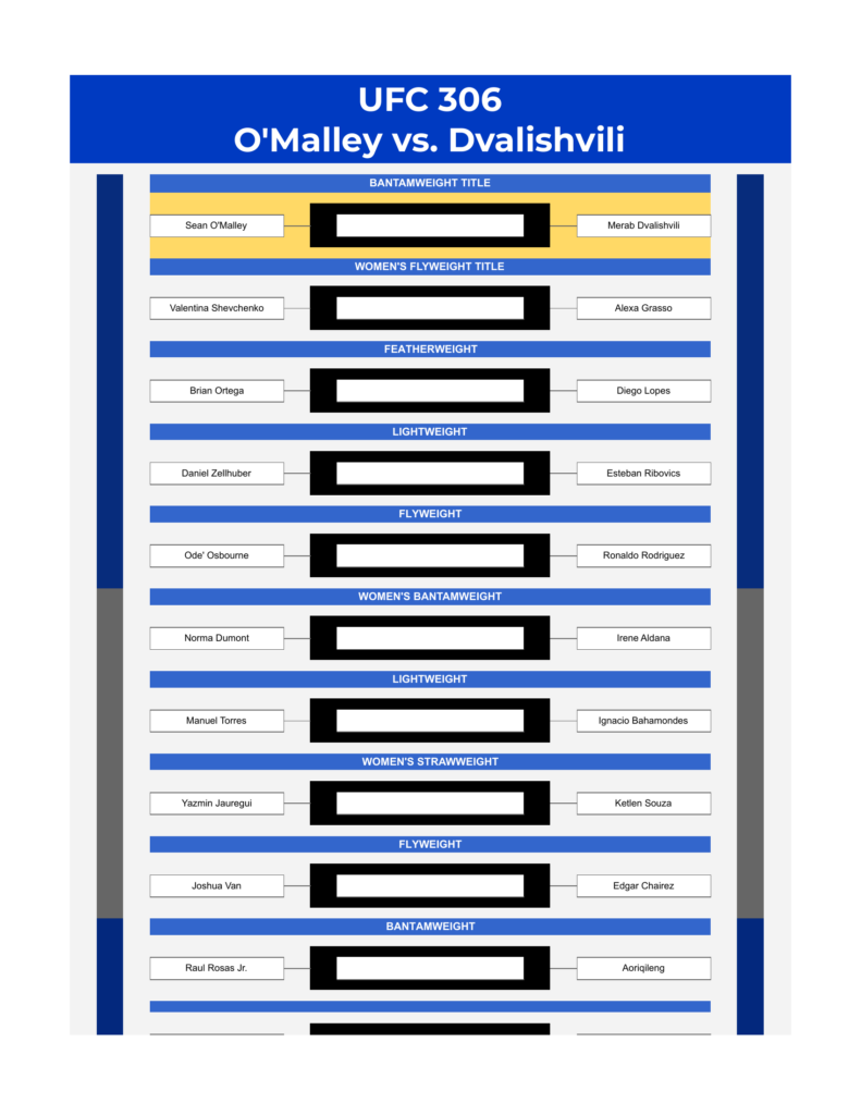 ufc 306 bracket o malley vs dvalishvili excel google sheets feature