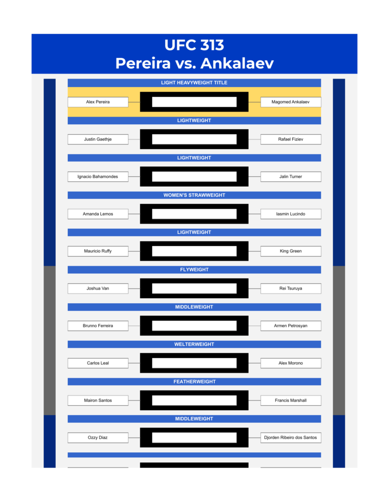 ufc 313 bracket pereira vs ankalaev excel google sheets feature