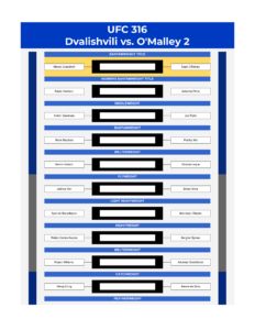 ufc 316 bracket dvalishvili vs o malley 2 excel google sheets feature