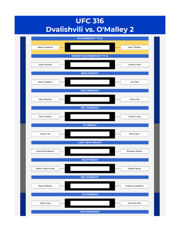 ufc 316 bracket dvalishvili vs o malley 2 excel google sheets feature