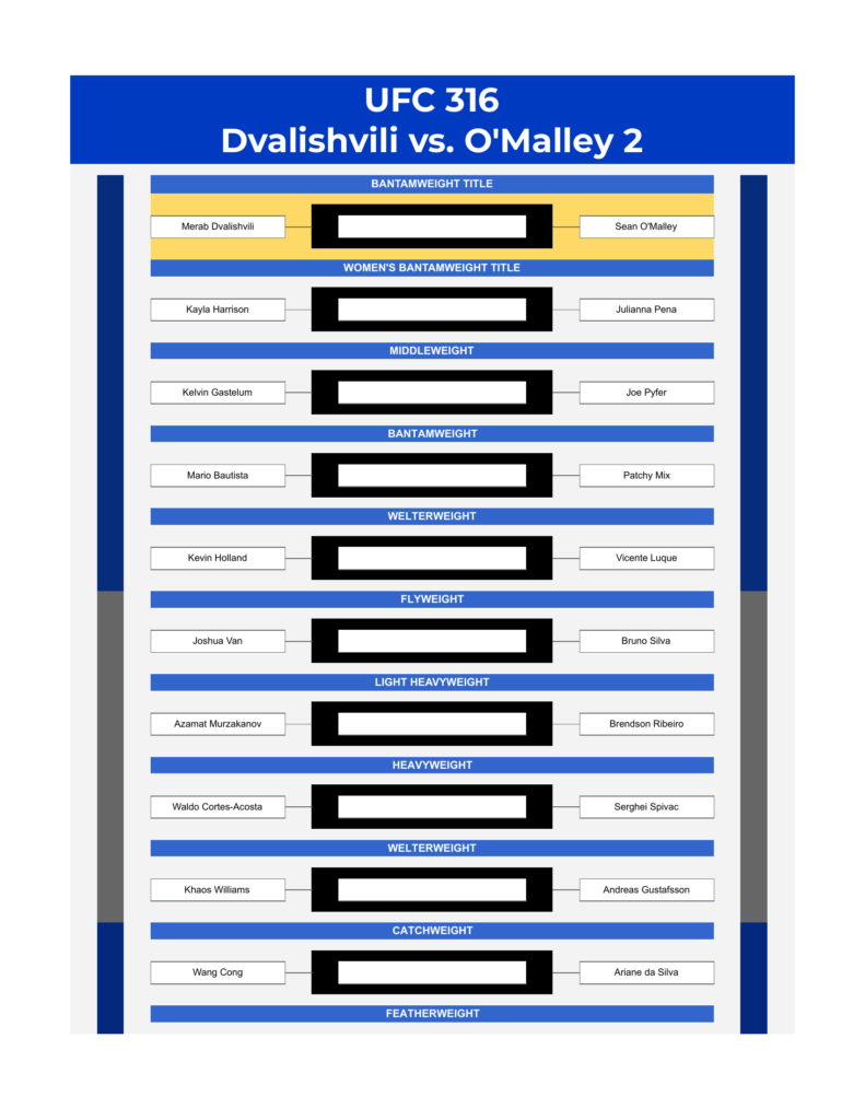 ufc 316 bracket dvalishvili vs o malley 2 excel google sheets feature