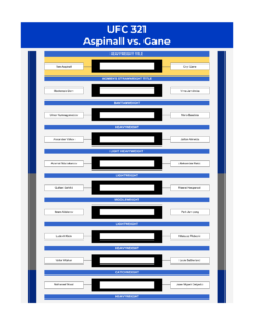 ufc 321 bracket aspinall vs gane excel google sheets feature