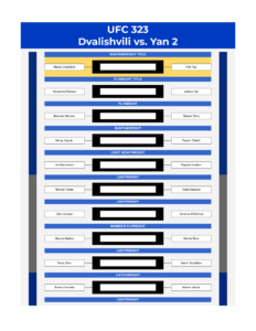ufc 323 bracket dvalishvili vs yan 2 excel google sheets feature
