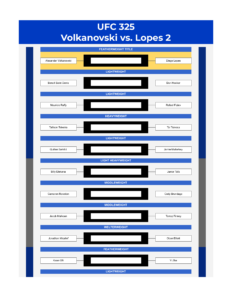 ufc 325 bracket volkanovski vs lopes 2 excel google sheets feature